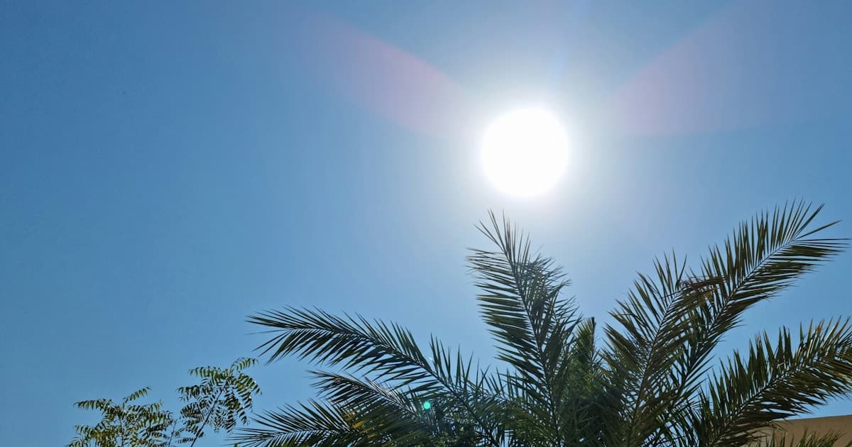 Keuzehulp voor Zonnepanelen en Omvormers: Welke Merken Passen Bij U?